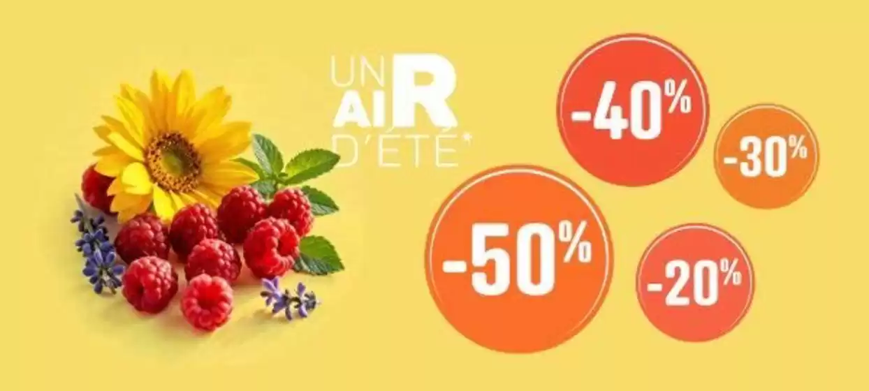 Catalogue Teleshopping à Le Lude | Promos Un air d'été | 2026-06-08T00:00:00.000Z - 2026-07-05T00:00:00.000Z