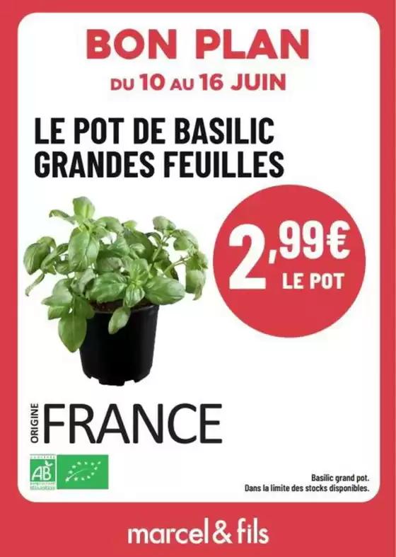 Catalogue marcel & fils à Maisons-Laffitte | Bon Plan | 2026-06-11T00:00:00.000Z - 2026-06-16T00:00:00.000Z