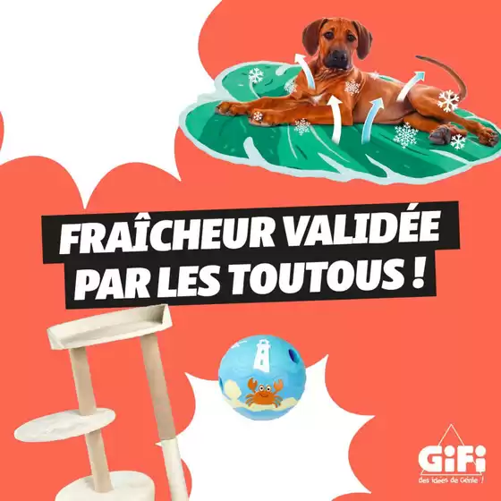 Catalogue Gifi à Seninghem | Parce qu'ils font partie de la famille. Retrouvez tout le nécessaire pour chouchouter vos compagnons à quatre pattes | 2026-06-19T00:00:00.000Z - 2026-06-25T00:00:00.000Z