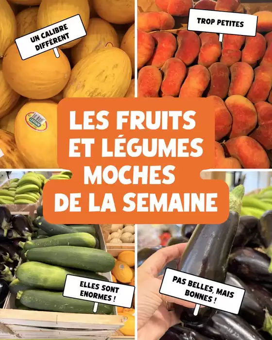 Catalogue Nous anti gaspi à Questembert | Les fruits et légumes de semaine | 2026-07-02T00:00:00.000Z - 2026-07-07T00:00:00.000Z