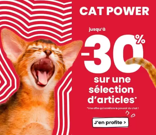 Catalogue Animalis | Cat Power | 2026-08-07T00:00:00.000Z - 2026-08-31T00:00:00.000Z
