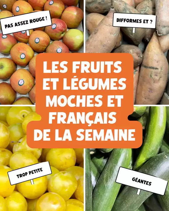 Catalogue Nous anti gaspi à Toulouse | Les fruits et légumes de semaine | 2026-08-19T00:00:00.000Z - 2026-08-23T00:00:00.000Z