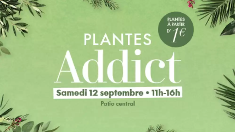 Catalogue à Cadolive | Grande braderie de plantes à Nîmes : Plantes Addict revient à La Coupole | 2026-08-27T00:00:00.000Z - 2026-09-12T00:00:00.000Z