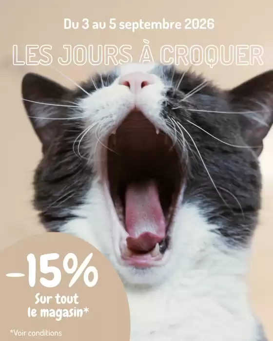 Catalogue Médor et Compagnie | Les Jours à Croquer sont arrivés chez Médor et Compagnie ! | 2026-09-04T00:00:00.000Z - 2026-09-05T00:00:00.000Z