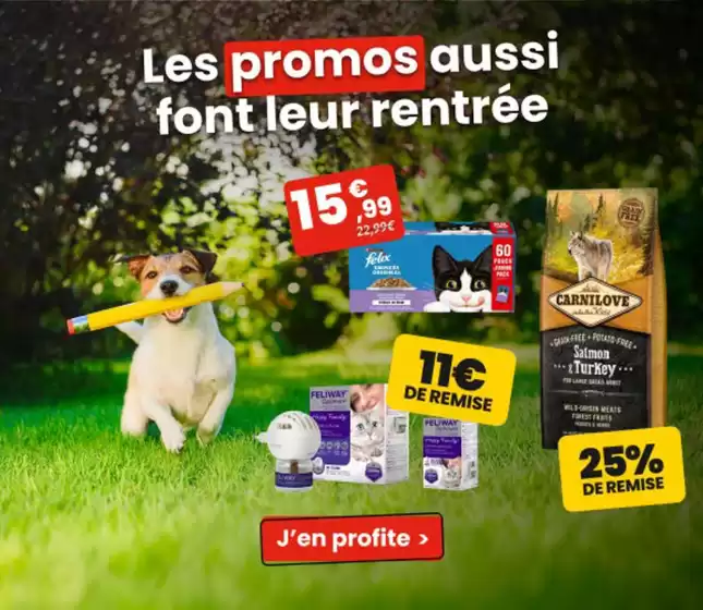 Catalogue Animalis à Breugnon | Les promos font aussi leur rentrée | 2026-09-08T00:00:00.000Z - 2026-09-13T00:00:00.000Z