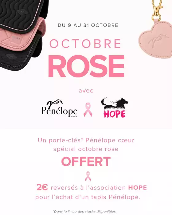 Catalogue Padd à Nanton | Jusqu'au 31 octobre, pour l'achat d'un tapis Pénélope : 2€ reversés à l'association HOPE + 1 porte-clés spécial Octobre Rose OFFERT, d'une valeur de 12 € | 2026-10-09T00:00:00.000Z - 2026-10-31T00:00:00.000Z