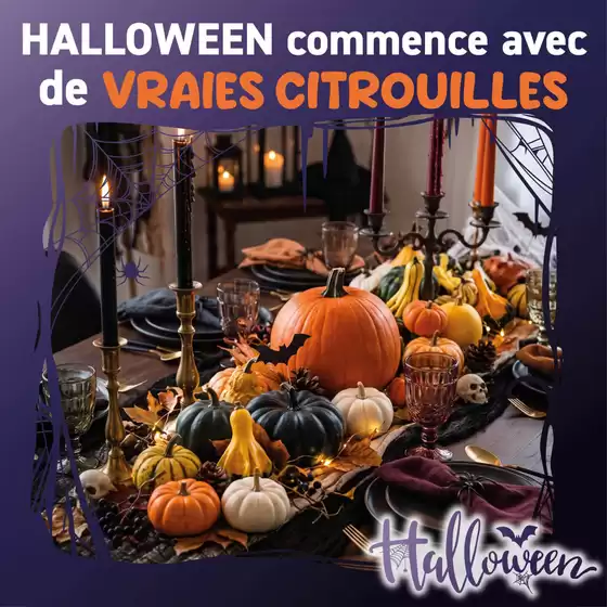 Catalogue Trafic | Cette année, la citrouille orange à la concurrence… | 2026-10-14T00:00:00.000Z - 2026-10-18T00:00:00.000Z