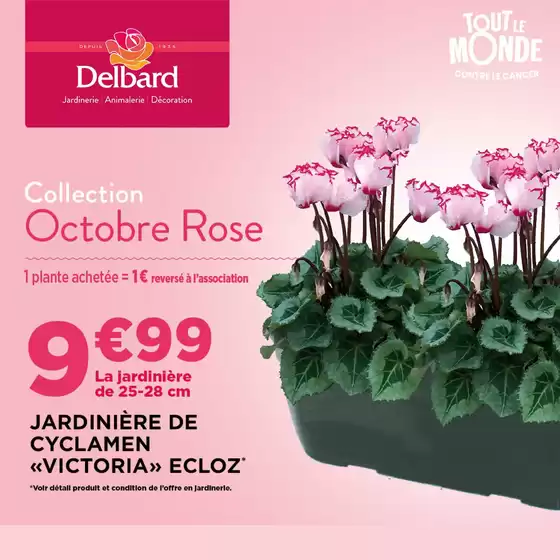 Catalogue Delbard | Octobre Rose | 2026-10-20T00:00:00.000Z - 2026-10-31T00:00:00.000Z