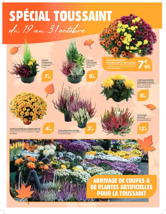 Catalogue Point Vert | Découvrez des offres attractives | 2026-10-19T00:00:00.000Z - 2026-10-31T00:00:00.000Z
