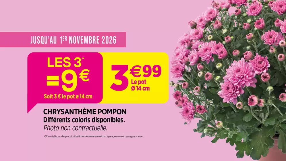 Catalogue Delbard | Prix mini pour la fleur de saison ! | 2026-10-26T00:00:00.000Z - 2026-11-01T00:00:00.000Z