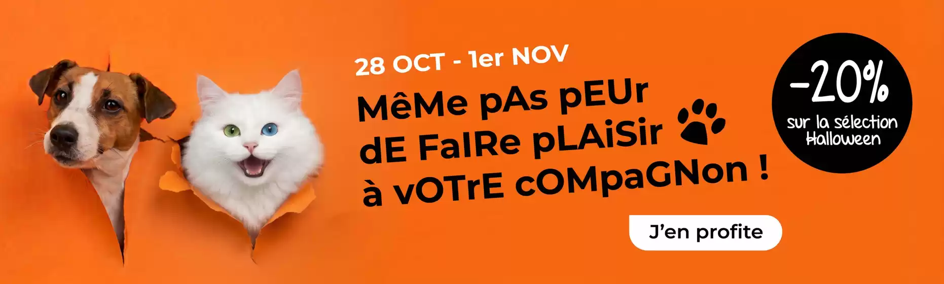 Catalogue Terranimo | Jusqu'au 1er novembre, c'est Halloween à petits prix chez Terranimo ! | 2026-10-28T00:00:00.000Z - 2026-11-01T00:00:00.000Z