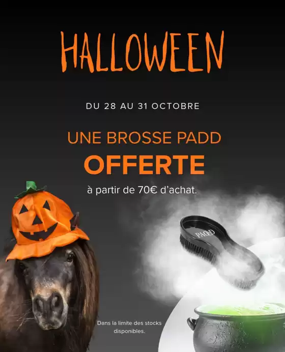 Catalogue Padd à Charnay-lès-Mâcon | Halloween chez PADD | 2026-10-28T00:00:00.000Z - 2026-10-31T00:00:00.000Z